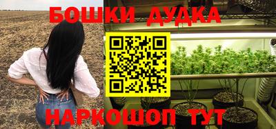 молекула духа Волжский